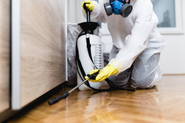 Best Pest Removal Services  in Monroe, GA