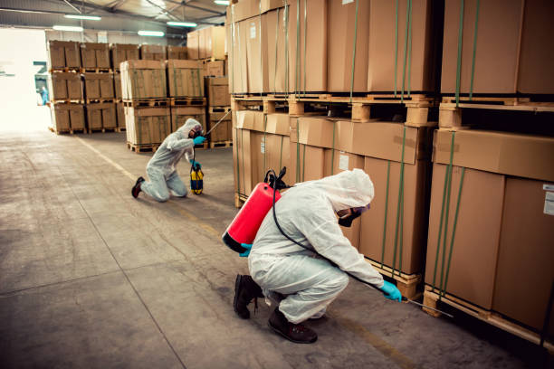 Best Best Pest Control Companies  in Monroe, GA