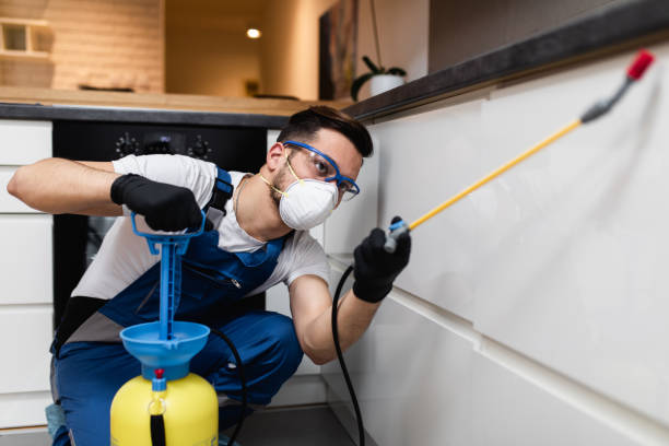 Best Rat Extermination Near Me  in Monroe, GA