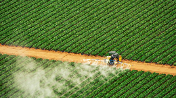 Reliable Monroe, GA Pest Control Solutions
