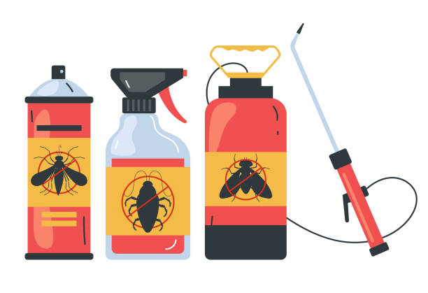 Wasp Removal Services in Monroe, GA