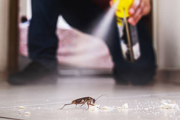 Best Wasp Removal Services  in Monroe, GA