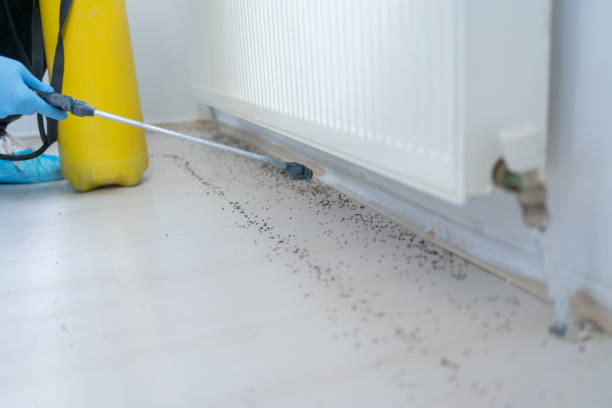 Professional Pest Control in Monroe, GA