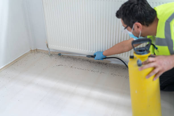 Best Pest Control Cost  in Monroe, GA