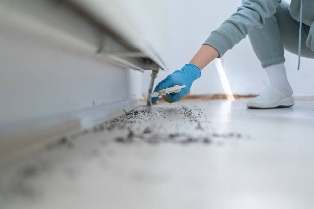 Best Commercial Pest Control Services  in Monroe, GA
